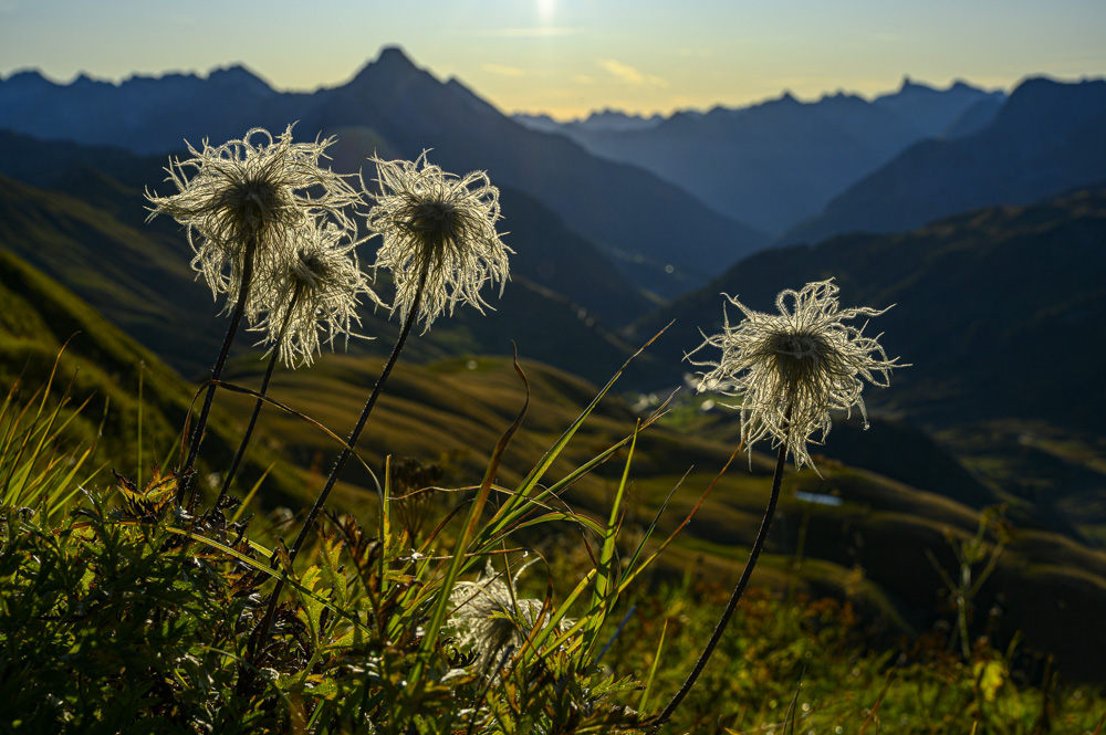 Platz 3 Robert Seitz